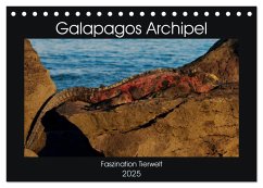 Galapagos Archipel- Faszination Tierwelt (Tischkalender 2025 DIN A5 quer), CALVENDO Monatskalender - Photo4emotion. com, Photoemotion. com