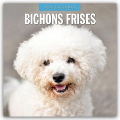 Bichon Frisés - Bichon Frisé 2025 - 16-Monatskalender - Red Robin Publishing Ltd