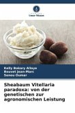 Sheabaum Vitellaria paradoxa: von der genetischen zur agronomischen Leistung