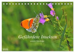 Gefährdete Insekten - unsere Nützlinge (Tischkalender 2025 DIN A5 quer), CALVENDO Monatskalender - Calvendo;Thoß, Michael