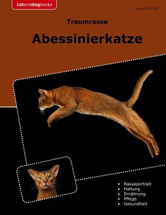 Traumrasse Abessinierkatze - Schmitt, Susanne