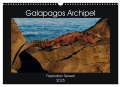 Galapagos Archipel- Faszination Tierwelt (Wandkalender 2025 DIN A3 quer), CALVENDO Monatskalender - Photo4emotion. com, Photoemotion. com