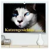 Katzengesichter und Zitate (hochwertiger Premium Wandkalender 2025 DIN A2 quer), Kunstdruck in Hochglanz