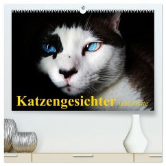 Katzengesichter und Zitate (hochwertiger Premium Wandkalender 2025 DIN A2 quer), Kunstdruck in Hochglanz - Stanzer, Elisabeth