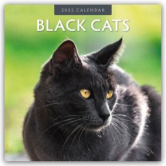 Black Cats - Schwarze Katzen 2025 - 16-Monatskalender - Red Robin Publishing Ltd