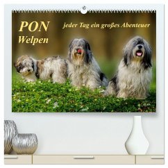 PON - Welpen, jeder Tag ein großes Abenteuer (hochwertiger Premium Wandkalender 2025 DIN A2 quer), Kunstdruck in Hochglanz - Calvendo;Roder, Peter