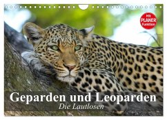 Die Lautlosen. Geparden und Leoparden (Wandkalender 2025 DIN A4 quer), CALVENDO Monatskalender