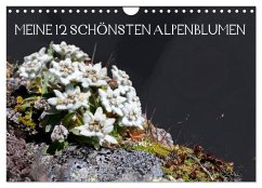 Meine 12 schönsten Alpenblumen (Wandkalender 2025 DIN A4 quer), CALVENDO Monatskalender
