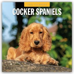 Cocker Spaniels - Cocker Spaniel 2025 - 16-Monatskalender - Red Robin Publishing Ltd