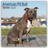American Pit Bull Terrier 2025 - 16-Monatskalender