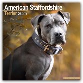 American Staffordshire Terrier 2025 - 16-Monatskalender