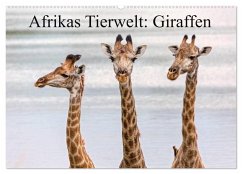 Afrikas Tierwelt: Giraffen (Wandkalender 2025 DIN A2 quer), CALVENDO Monatskalender - Voß, Michael