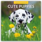 Cute Puppies - Niedliche Hundewelpen 2025 - 16-Monatskalender
