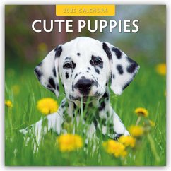 Cute Puppies - Niedliche Hundewelpen 2025 - 16-Monatskalender - Red Robin Publishing Ltd