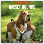 Basset Hounds - Basset Hound 2025 - 16-Monatskalender