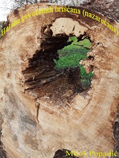 Cover Halaha prvobitnih hriScana (nazarecana) (eBook, ePUB)