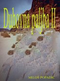 Duhovna paljba II (eBook, ePUB)