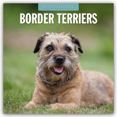 Border Terriers - Border Terrier 2025 - 16-Monatskalender - Red Robin Publishing Ltd