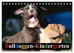 Bulldoggen-Kindergarten (Tischkalender 2025 DIN A5 quer), CALVENDO Monatskalender