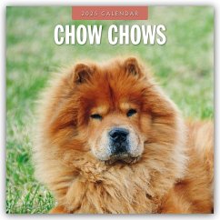 Chow Chows - Chow Chow 2025 - 16-Monatskalender - Red Robin Publishing Ltd