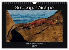 Galapagos Archipel- Faszination Tierwelt (Wandkalender 2025 DIN A4 quer), CALVENDO Monatskalender