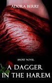 A Dagger in the Harem (eBook, ePUB)