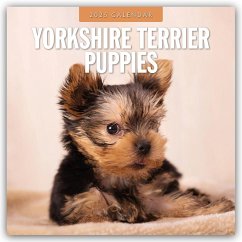 Yorkshire Terrier Puppies - Yorkshire Terrier Hundewelpen 2025 - 16-Monatskalender - Red Robin Publishing Ltd