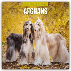 Afghans - Afghanischer Windhund 2025 - 16-Monatskalender - Red Robin Publishing Ltd