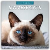 Siamese Cats - Siamkatzen - Siamesische Katzen 2025 - 16-Monatskalender