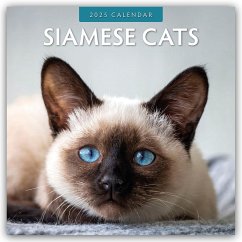 Siamese Cats - Siamkatzen - Siamesische Katzen 2025 - 16-Monatskalender - Red Robin Publishing Ltd