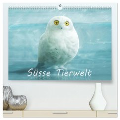 Süsse Tierwelt / Geburtstagskalender (hochwertiger Premium Wandkalender 2025 DIN A2 quer), Kunstdruck in Hochglanz