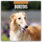 Borzois - Barsoi - Barzaia - Russischer Wolfshund 2025 - 16-Monatskalender