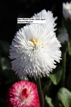 New World Order 2024 April (eBook, ePUB) - Wagner, Eduard