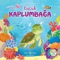 Kücük Kaplumbaga - Jones, Wednesday