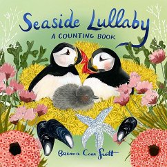 Seaside Lullaby - Corr Scott, Briana