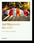 Joel Meyerowitz:¿en color?