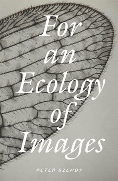 For an Ecology of Images - Szendy, Peter