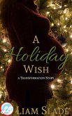 A Holiday Wish (eBook, ePUB)