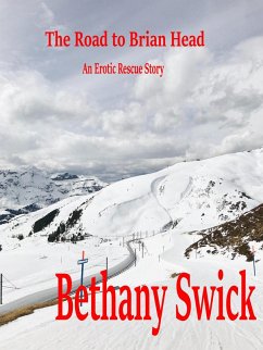 The Road to Brian Head An Erotic Rescue Story (eBook, ePUB) - Swick, Bethany