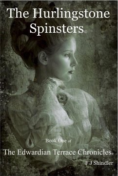 Cover The Hurlingstone Spinsters (eBook, ePUB)