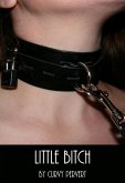 Little Bitch (Puppies and Ponies, #3) (eBook, ePUB) Little Bitch (Puppies and Ponies, #3) (eBook, ePUB)