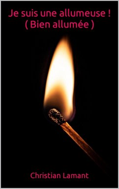 Cover Je suis une allumeuse ! (eBook, ePUB)