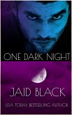 One Dark Night (eBook, ePUB)