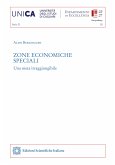 Zone economiche speciali (eBook, PDF)