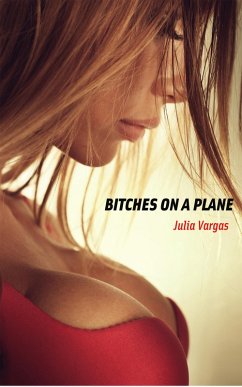 Bitches On A Plane (eBook, ePUB) Cover Bitches On A Plane (eBook, ePUB)