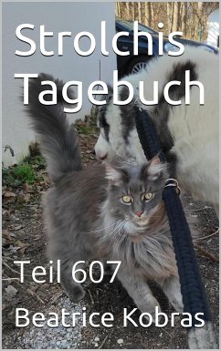 Strolchis Tagebuch - Teil 607 (eBook, ePUB) - Kobras, Beatrice