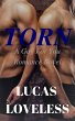 Torn: A Gay For You Romance Novel... - Bild 1