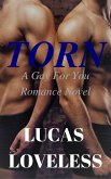 Torn: A Gay For You Romance Novel (eBook, ePUB)