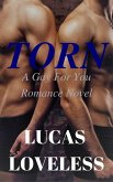 Torn: A Gay For You Romance Novel (eBook, ePUB) Torn: A Gay For You Romance Novel (eBook, ePUB)