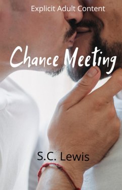 Cover Chance Meeting (eBook, ePUB)